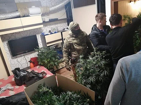 Красноярец снял квартиру в аренду и выращивал в ней коноплю – его задержали полицейские . фото: инстаграм @kras.novosti
