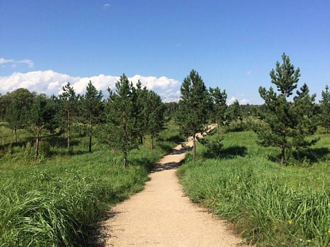 В Татышев-парке делают новые тропы для прогулок. Фото: https://vk.com/krasnoyarskrf