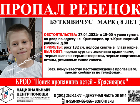 Красноярцев просят помочь в поисках пропавшего 8-летнего мальчика. Фото: https://vk.com/poiskdeteikrasnoyarsk