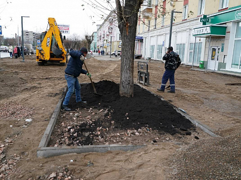 На правобережье Красноярска деревья высадили в строительный грунт. Фото: https://vk.com/krasnoyarskrf