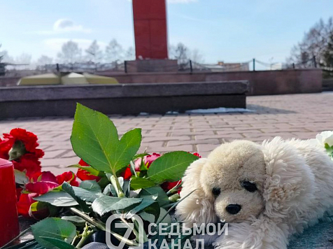 Красноярцы несут детские игрушки и цветы к стихийному мемориалу в память о жертвах теракта в «Крокус Сити Холле»					     title=