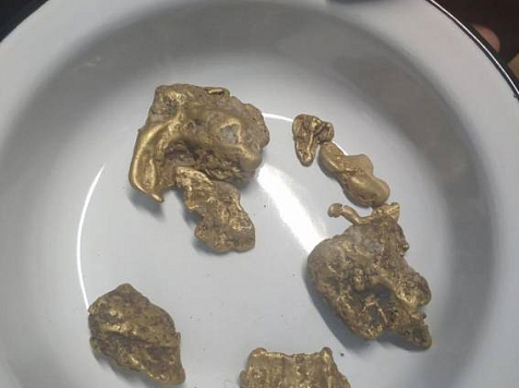 В крае незаконно добыли 81 кг золота . Фото, видео: 24.мвд.рф