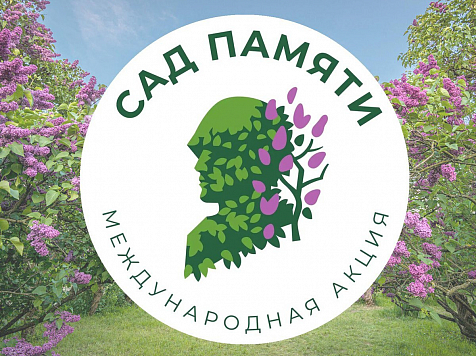 В Красноярском крае посадят деревья в память о погибших в годы Великой Отечественной войны. Фото: садпамяти2021.рф